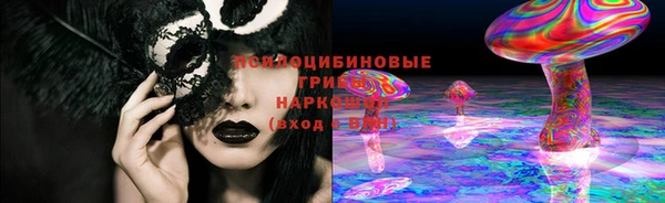 ПСИЛОЦИБИНОВЫЕ ГРИБЫ Алексин