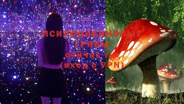 марихуана Абаза