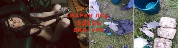 ПСИЛОЦИБИНОВЫЕ ГРИБЫ Алексин