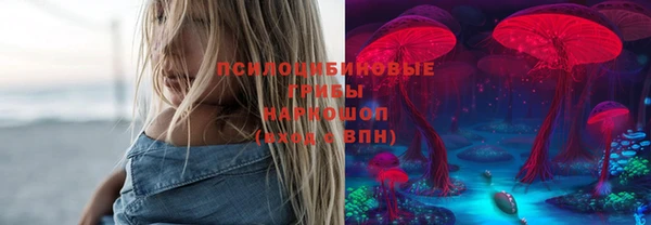 хмурый Алексеевка