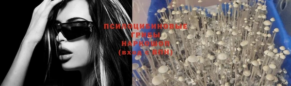 ПСИЛОЦИБИНОВЫЕ ГРИБЫ Алексин