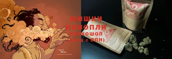 шишки Алзамай